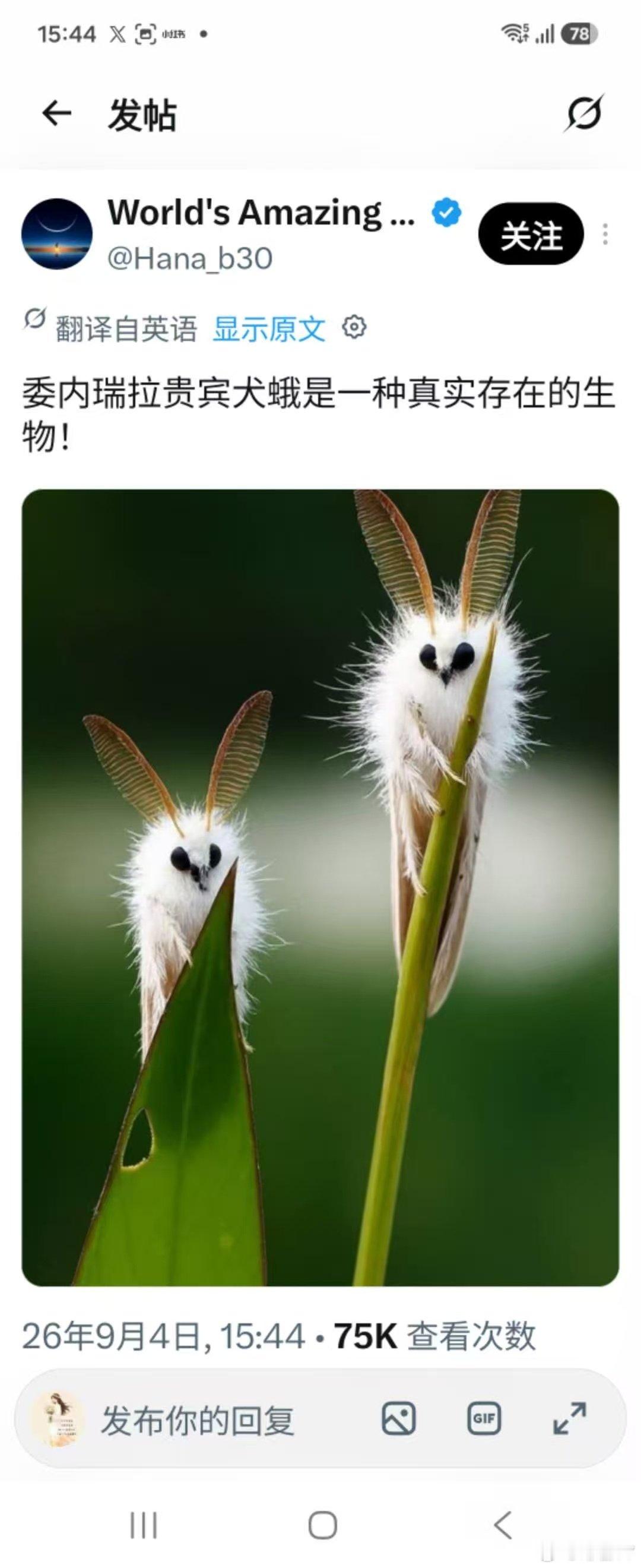 分享图片​
