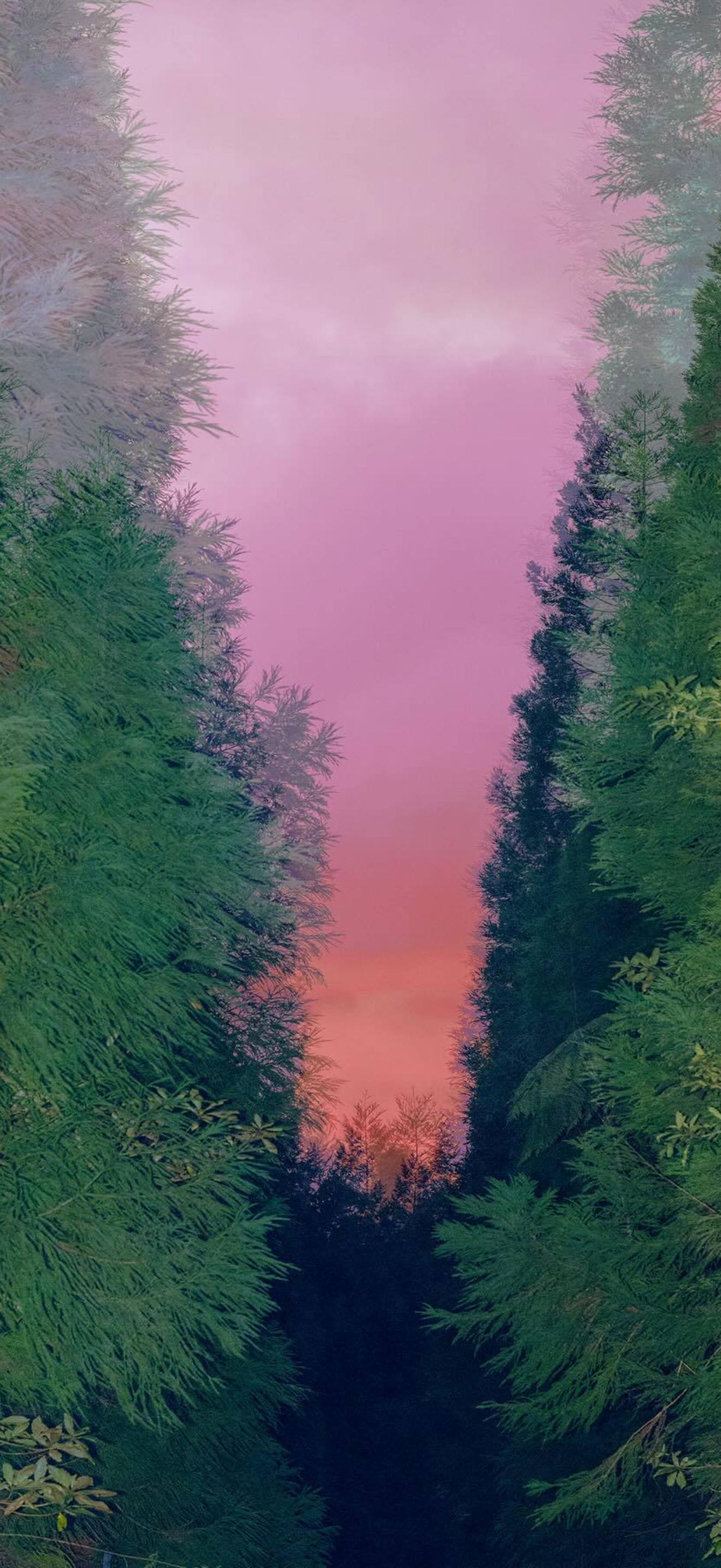 丰富一下手机壁纸吧​​​
