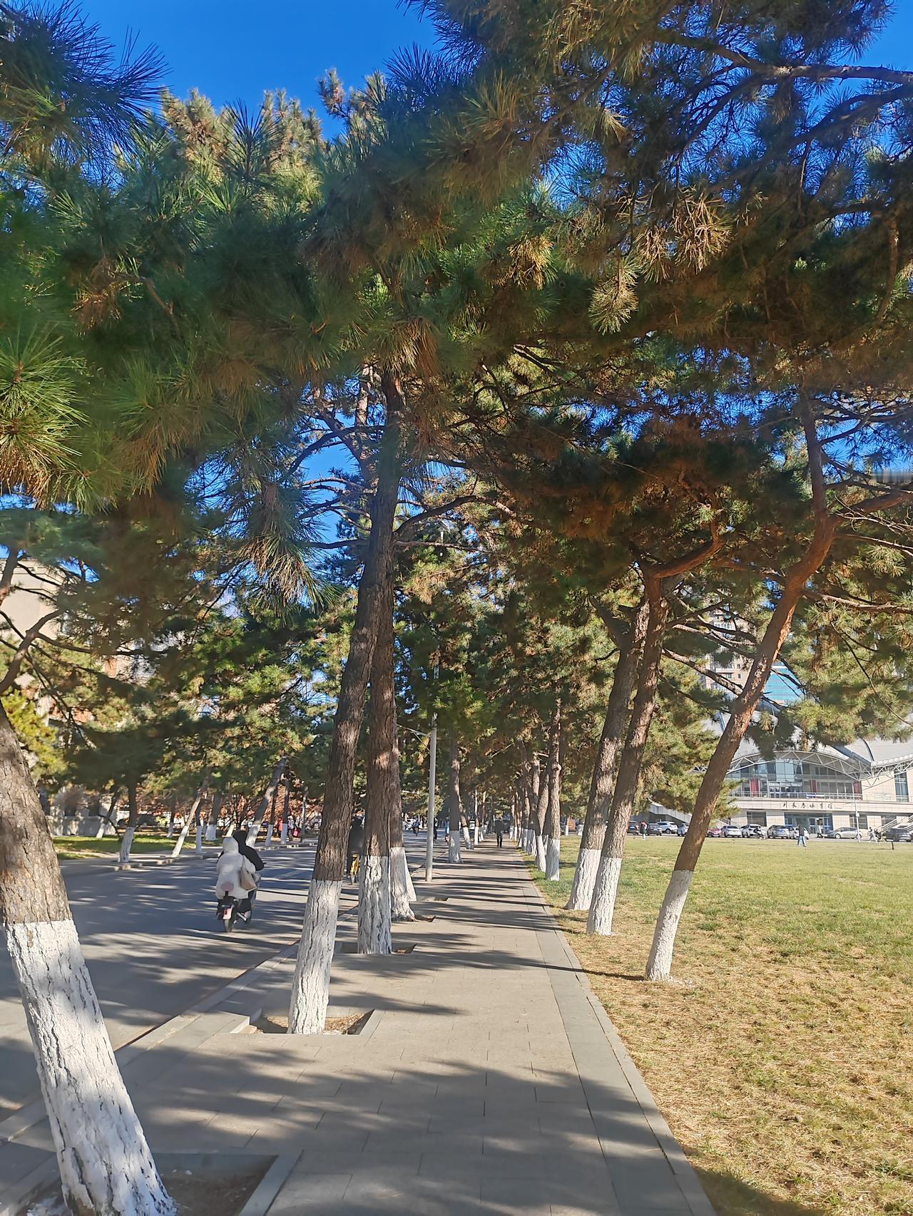 昨晚老师通知接龙流感疫苗本想参考大家的选择再决定可等到今早也无人接龙心里有