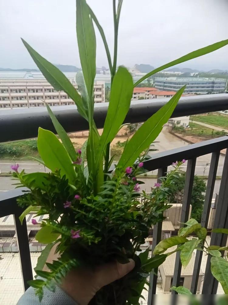 父母给钱的态度，影响孩子一辈子。我之前真踩过好大的坑，以前总觉得给孩子钱得立