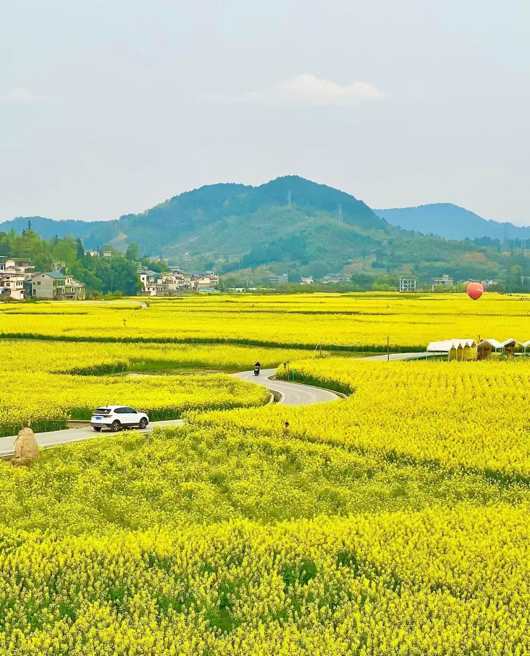 在量化交易越来越重的A股市场，我们需要做的是提前埋伏，而不是去追高，追高很容易被