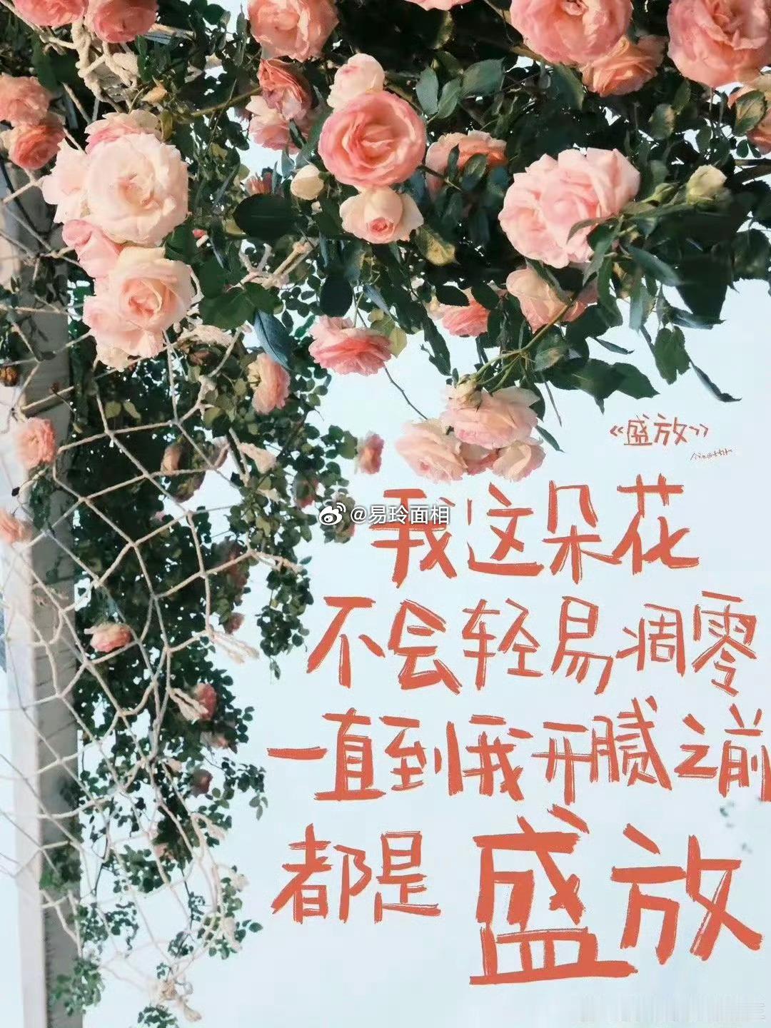 天秤座，是社交场合中的优雅大使，他们擅长在各种人际关系中找到完美的平衡点，用恰到