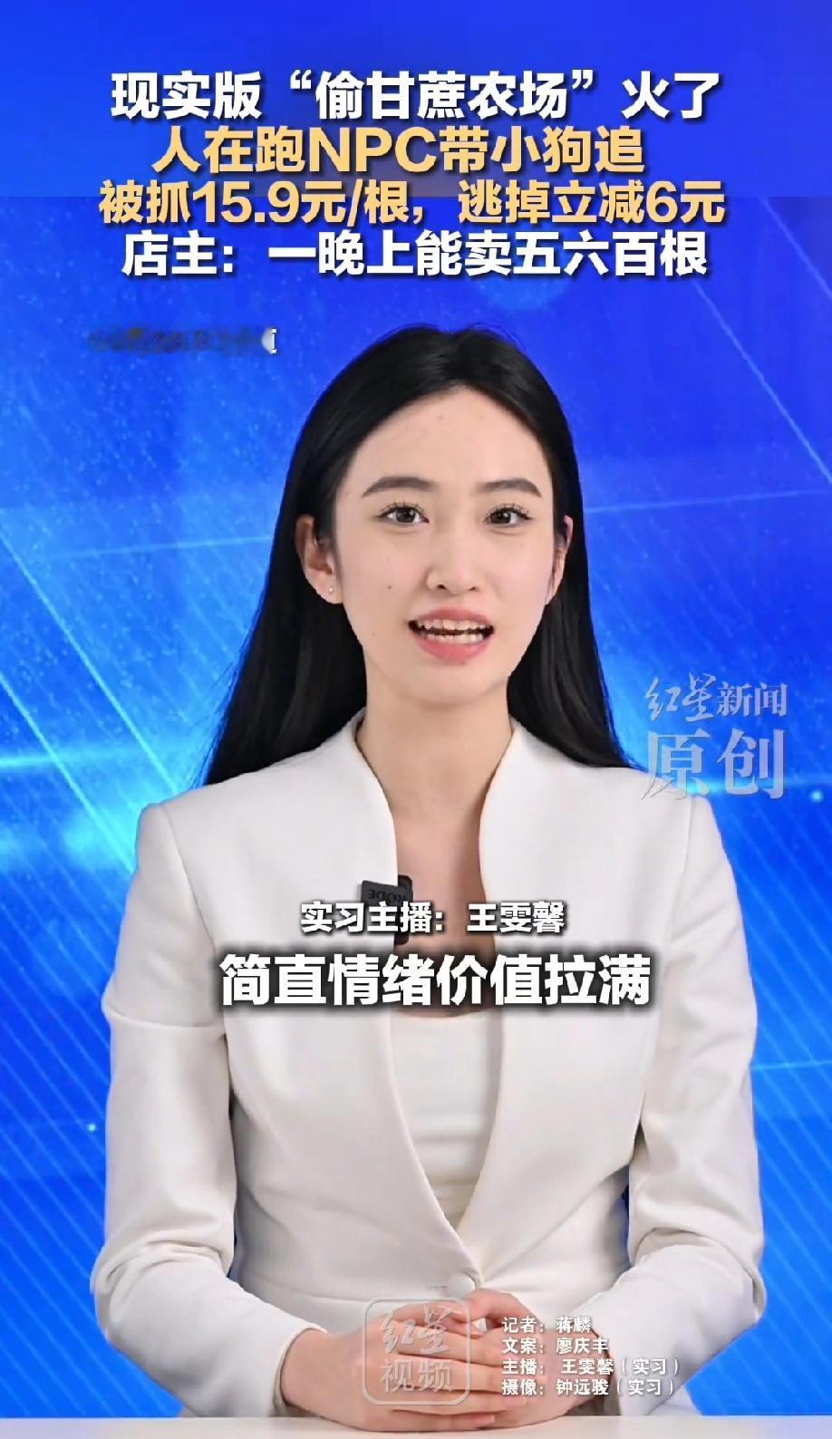 笑不活了！四川眉山，一个种甘蔗的农场组织了一个“真人版偷甘蔗”的活动，被抓到15