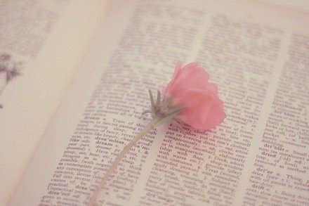 一切深邃的思想、极致的境界、高深的修养、圆满的智慧、以及伟大的成就……最终落实到