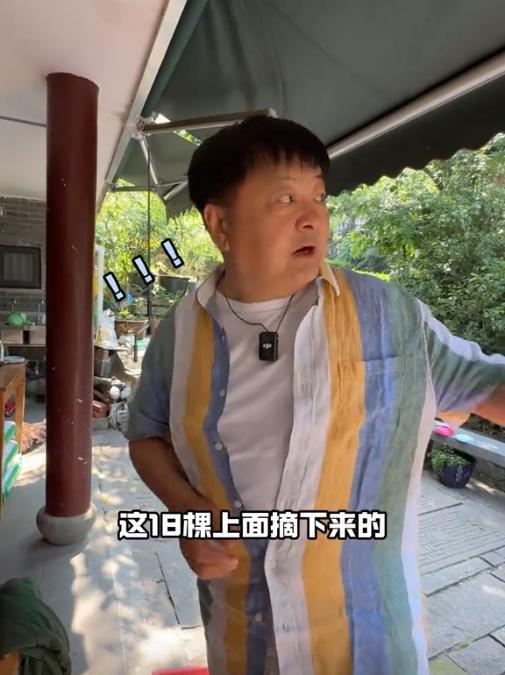 果然，最坏的结果还是来了！著名演员洪剑涛想喝乾隆爷喝过的十八棵御茶树的茶，于是