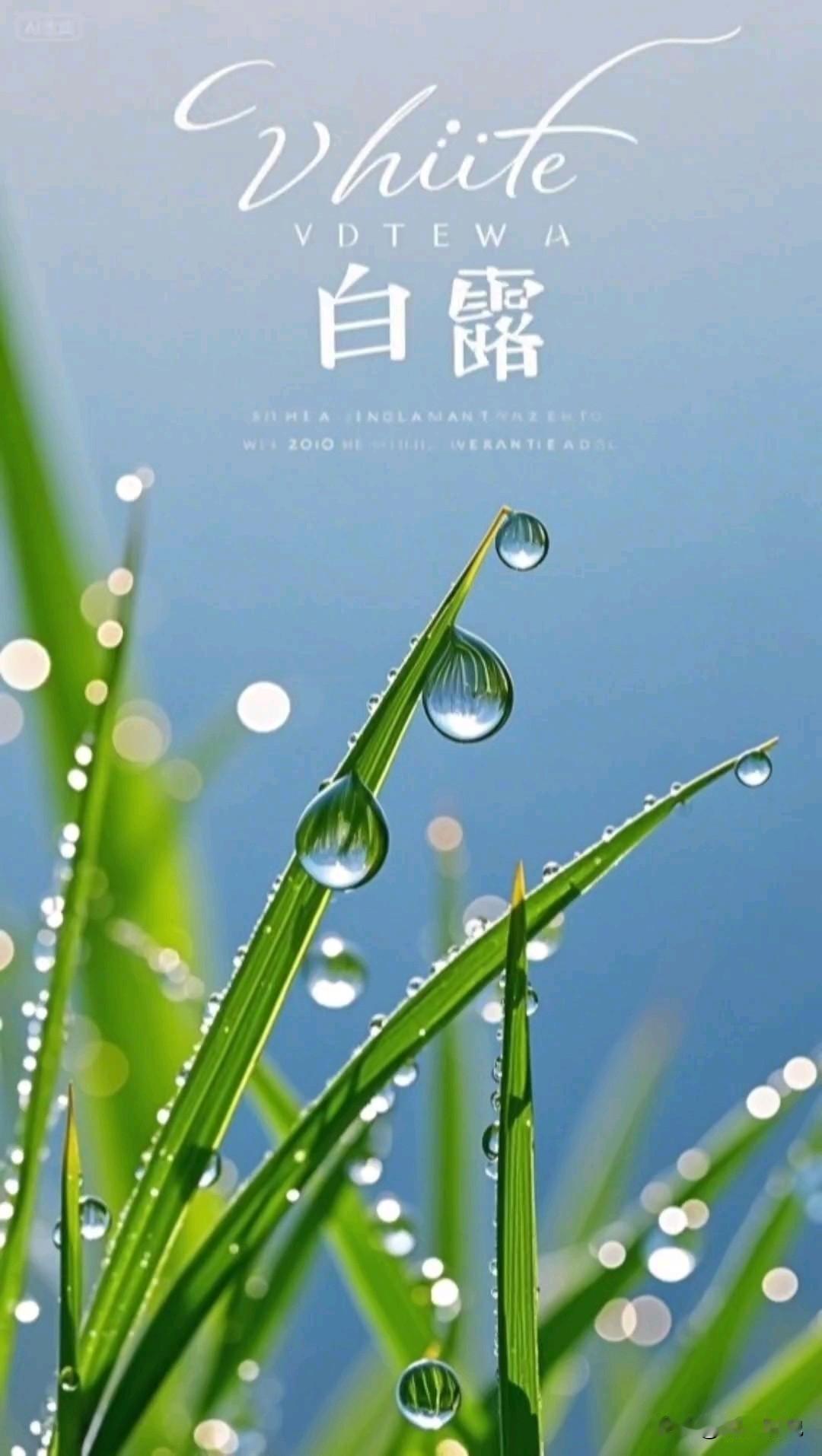 自驾圈很奇怪：穷游内容满天飞，舒适旅行却没人晒网上两种自驾游方式的文章、视