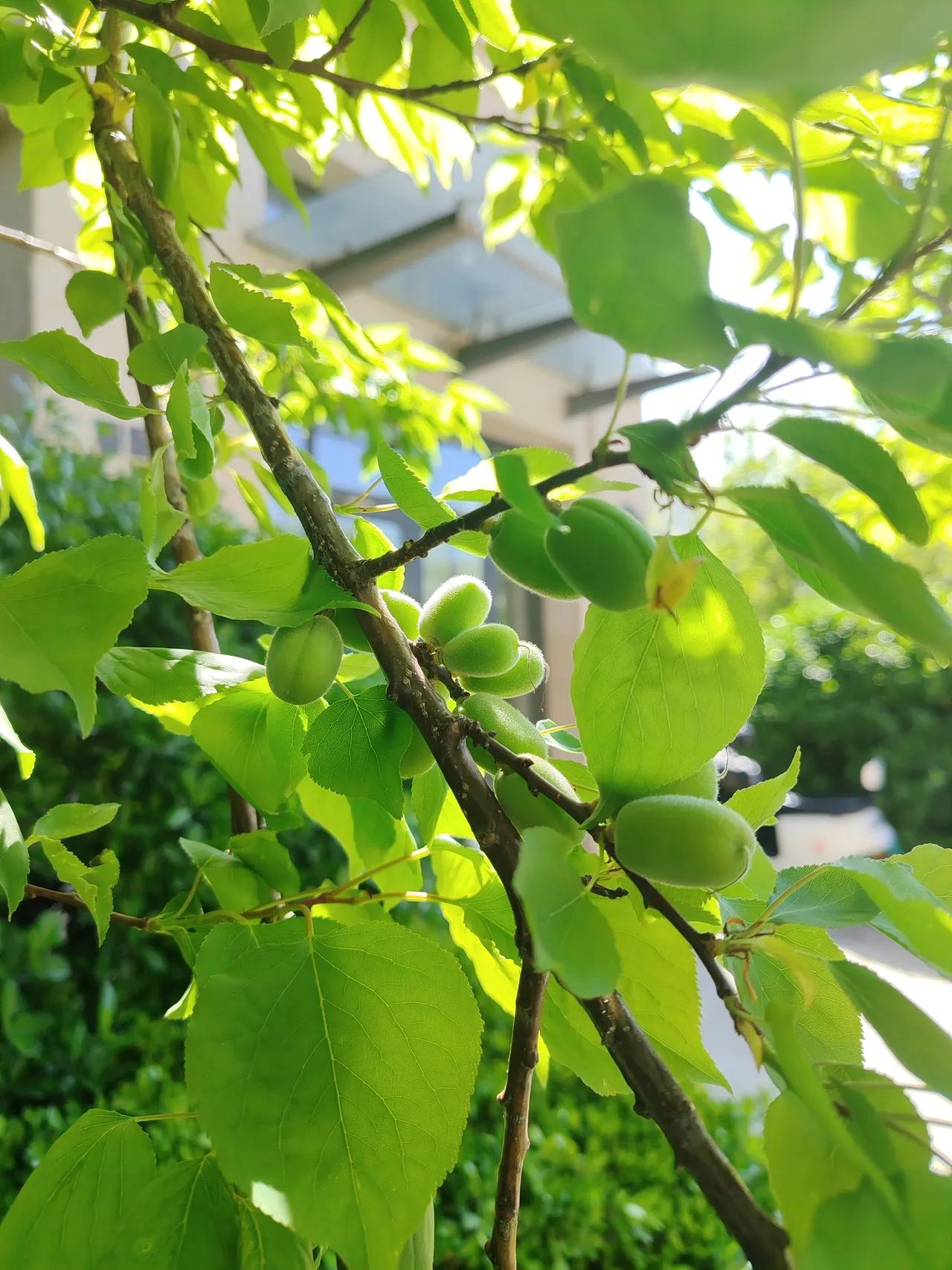 成熟就是心里翻江倒海，脸上风平浪静。以前遇到委屈恨不得让全世界知道，现在学会了把