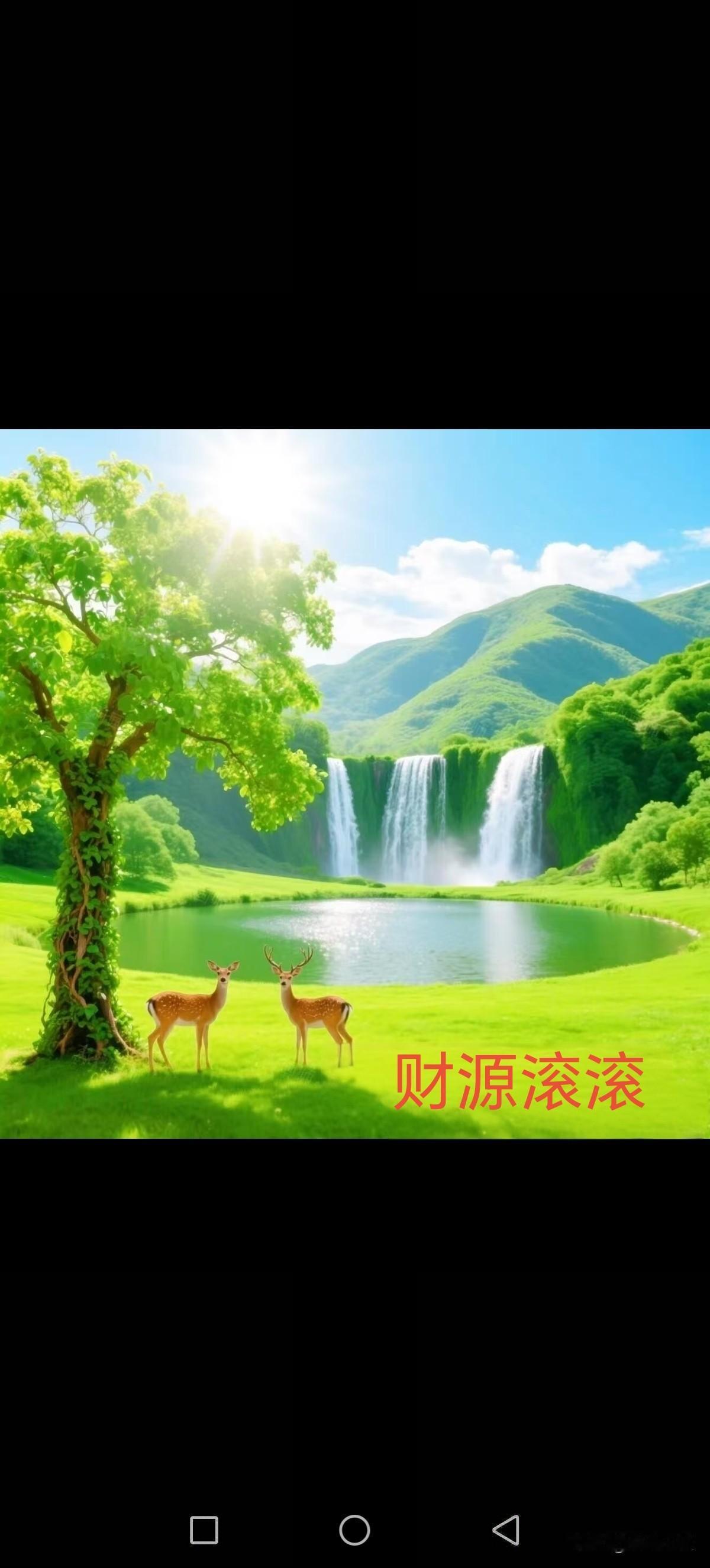 我相册里最近拍的花是向日葵。当时去郊外游玩，一大片向日葵花海映入眼帘，那场景简直