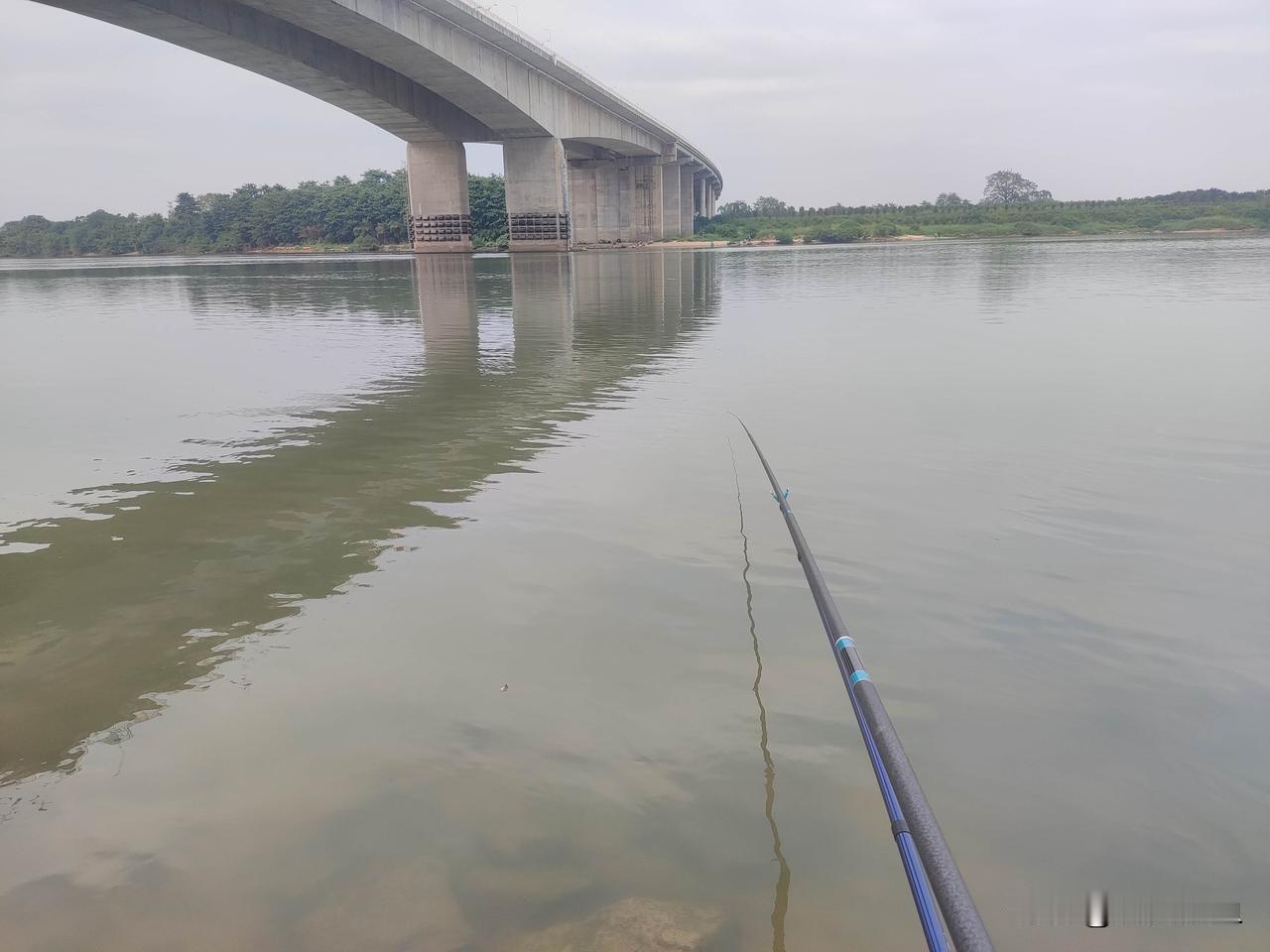 如果当地钓鱼人多、野钓基本很难钓到鱼的情况，鱼竿建议6.3米起步28调轻量小综合