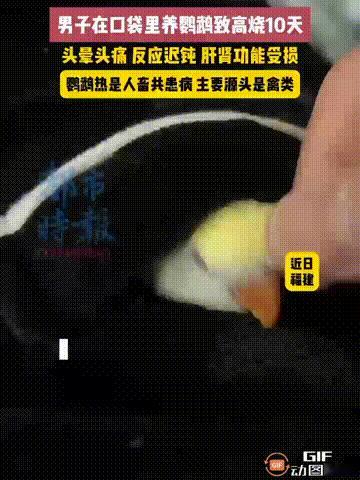 福建一名46岁的男子养了一只鹦鹉，因为他的职业是出租车司机，经常要在外跑车，他担