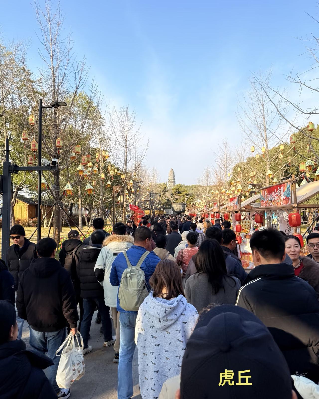 春节去苏州玩，本想着去山塘街、平江路感受古街韵味，去虎丘领略历史底蕴，到拙政园欣