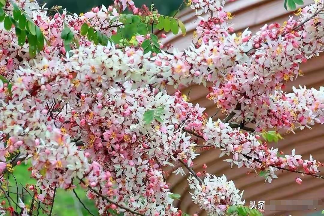 在股市里想赚钱又不闹心，其实就那几招，老股民早就摸透了，新手照着做，至少能少走三