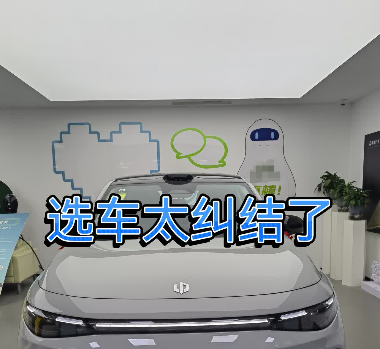 选车真的太纠结了，尤其是人生中第一辆车，现在新能源汽车品牌以及车型真的太多了，在