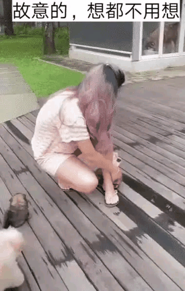 有一说一，这大狗子可真稀罕人[思考]