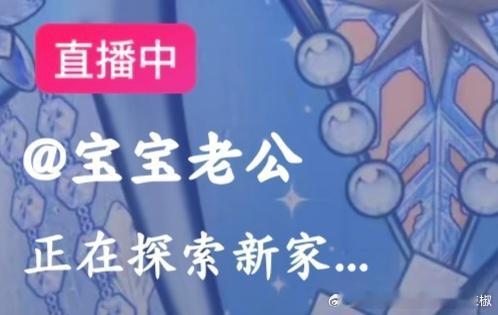 正在探索新猫窝的音音