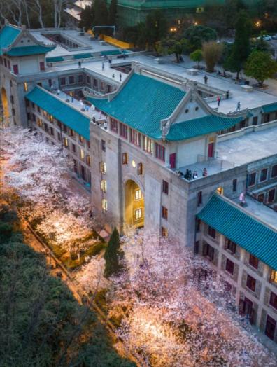 杨同学换马甲进香港，武大干的？论文造假的事还没查清楚，人就去了香港浸会