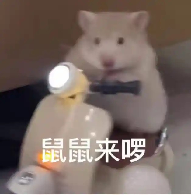 【新一代假体有望让失明者重见光明】6月6日，中国科学院上海技术物理研究所胡伟达团