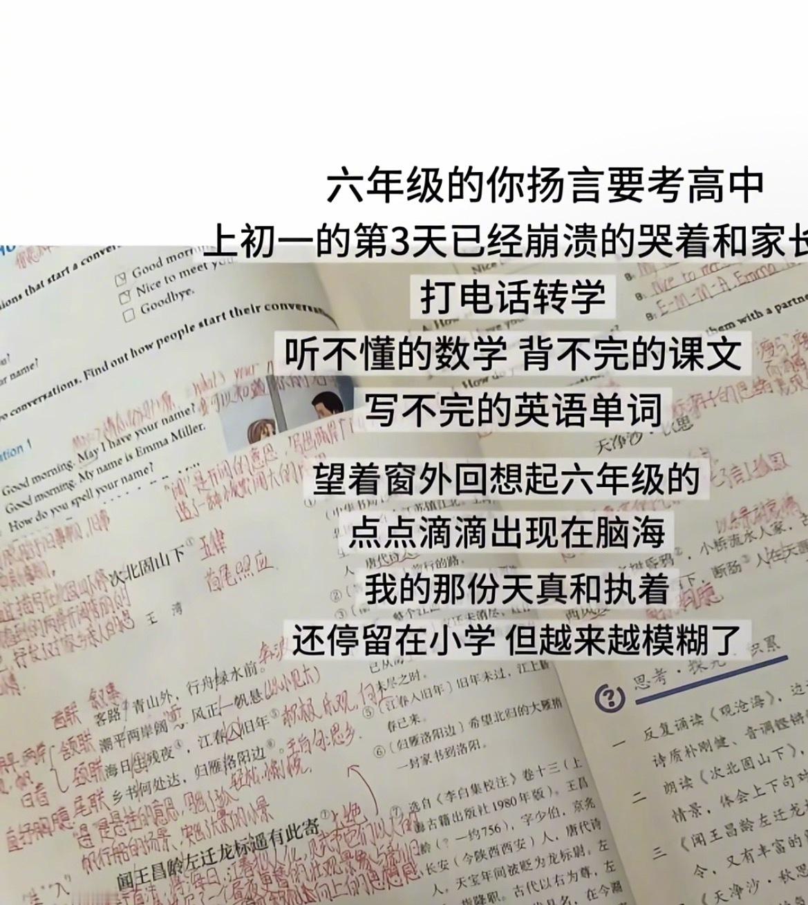 “上了一周初一原谅了小学的一切”​​​