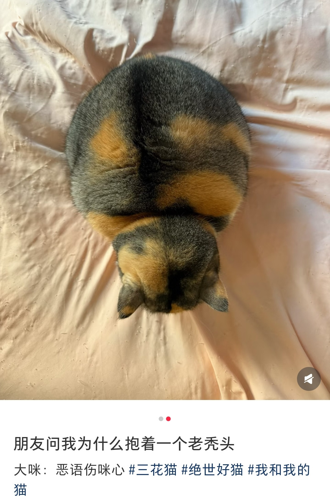 哈哈哈第一张真的很吓人哎