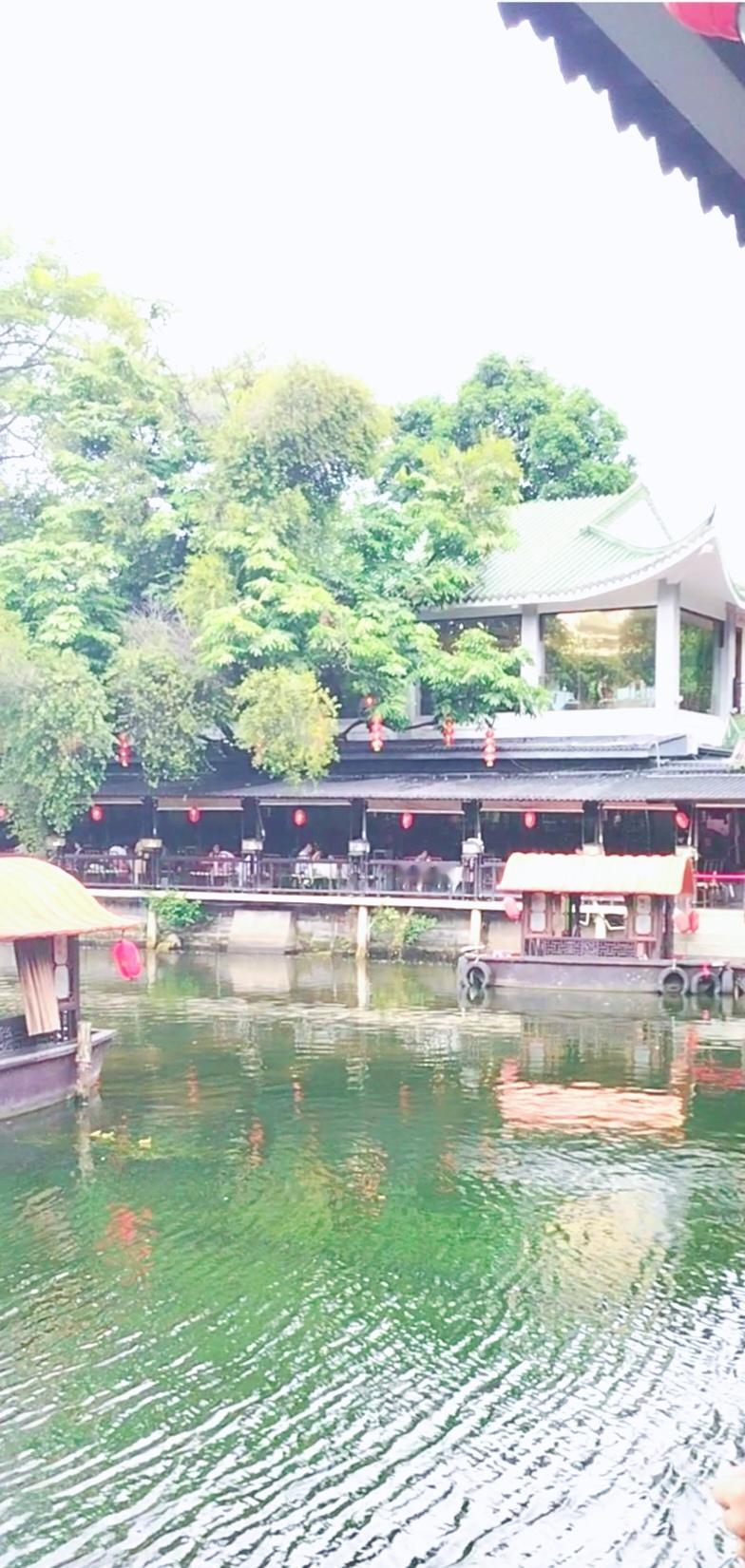 你认为抖音上的美女占几成？抖音上自然美女占比真不好说。现在刷抖音，满屏都是美女