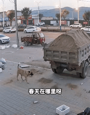 狗出来还不忘骂两句[捂脸哭][捂脸哭]