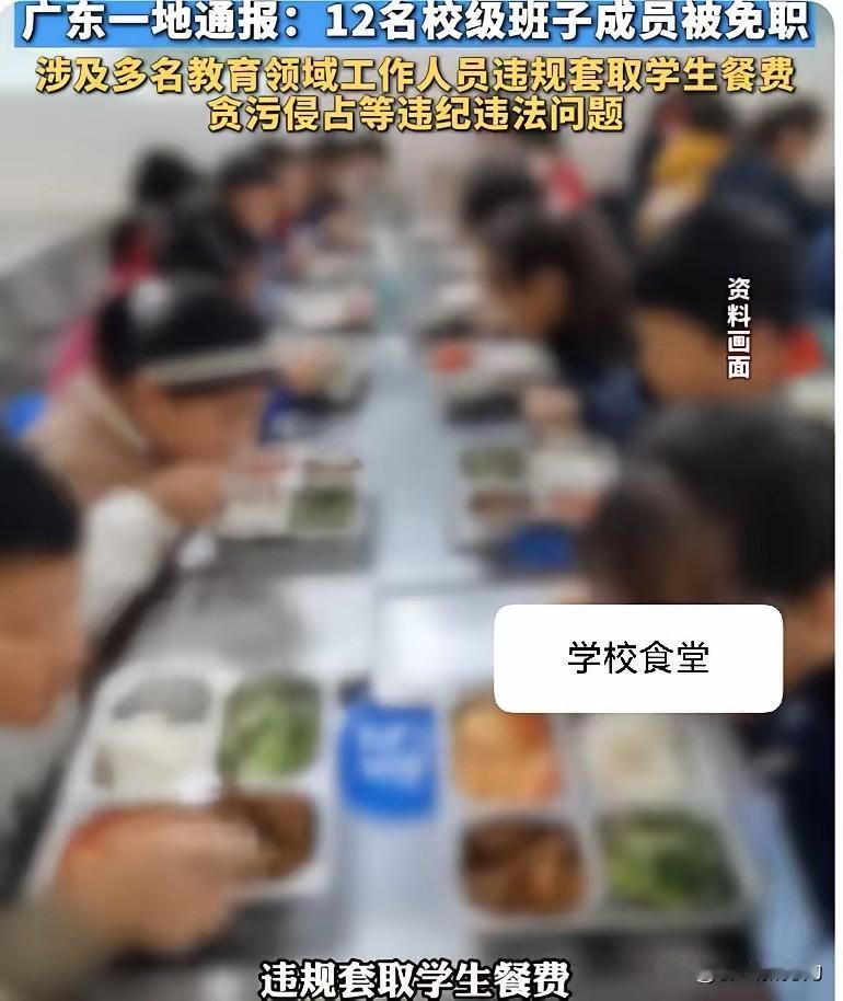 2026年1月，广东佛山市高明区纪委监委通报了多起教育系统违纪案件，12名校级班