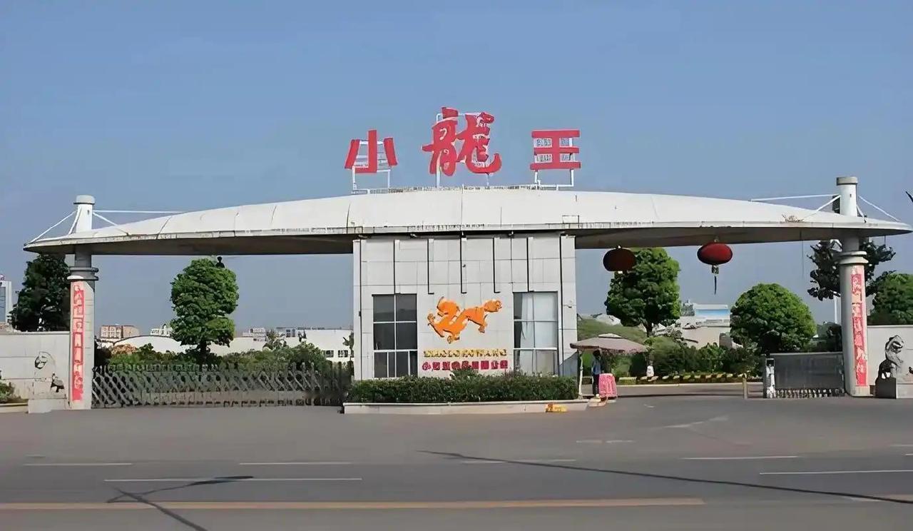 湘潭的小龙王槟榔公司倒闭了，曾经的湘潭县利税大户，风光了20余年，现官司缠身，被