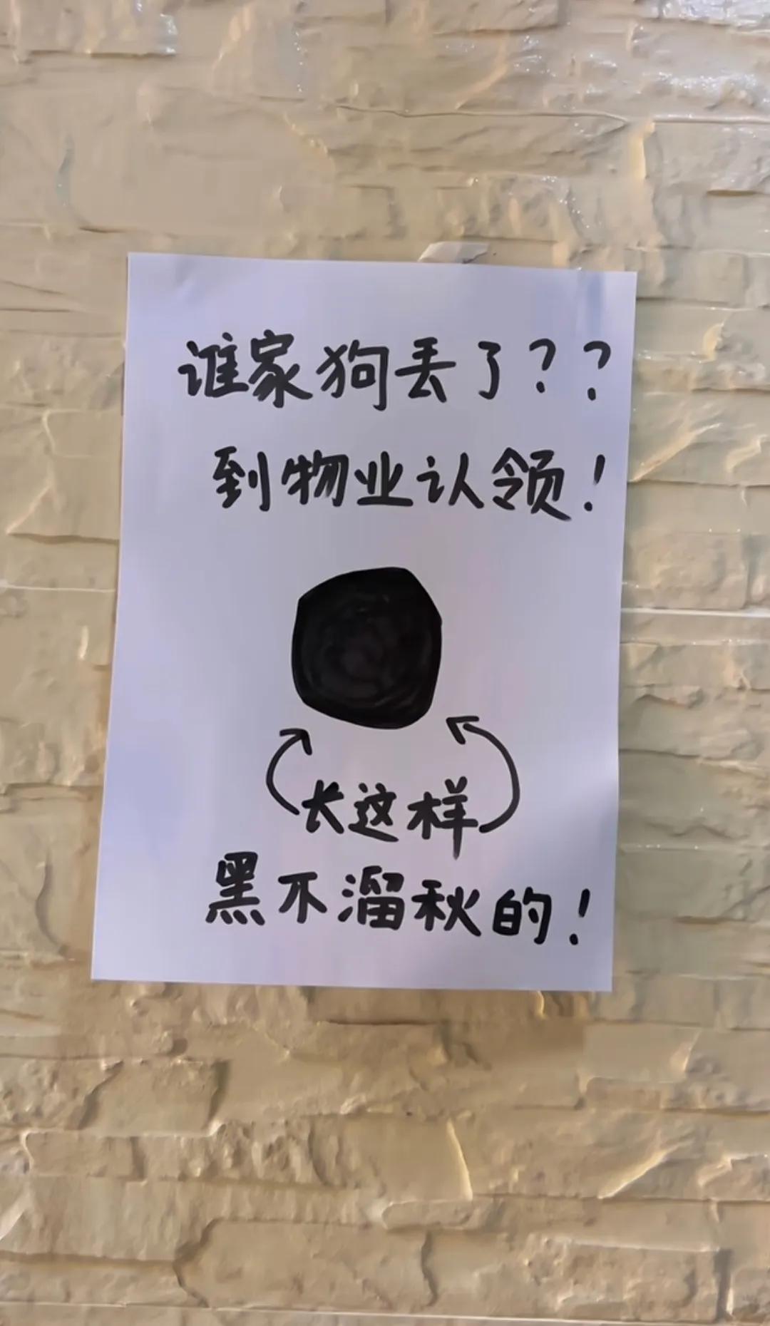 原以为物业是随手胡乱画的，见到狗狗才发现画得还挺像！