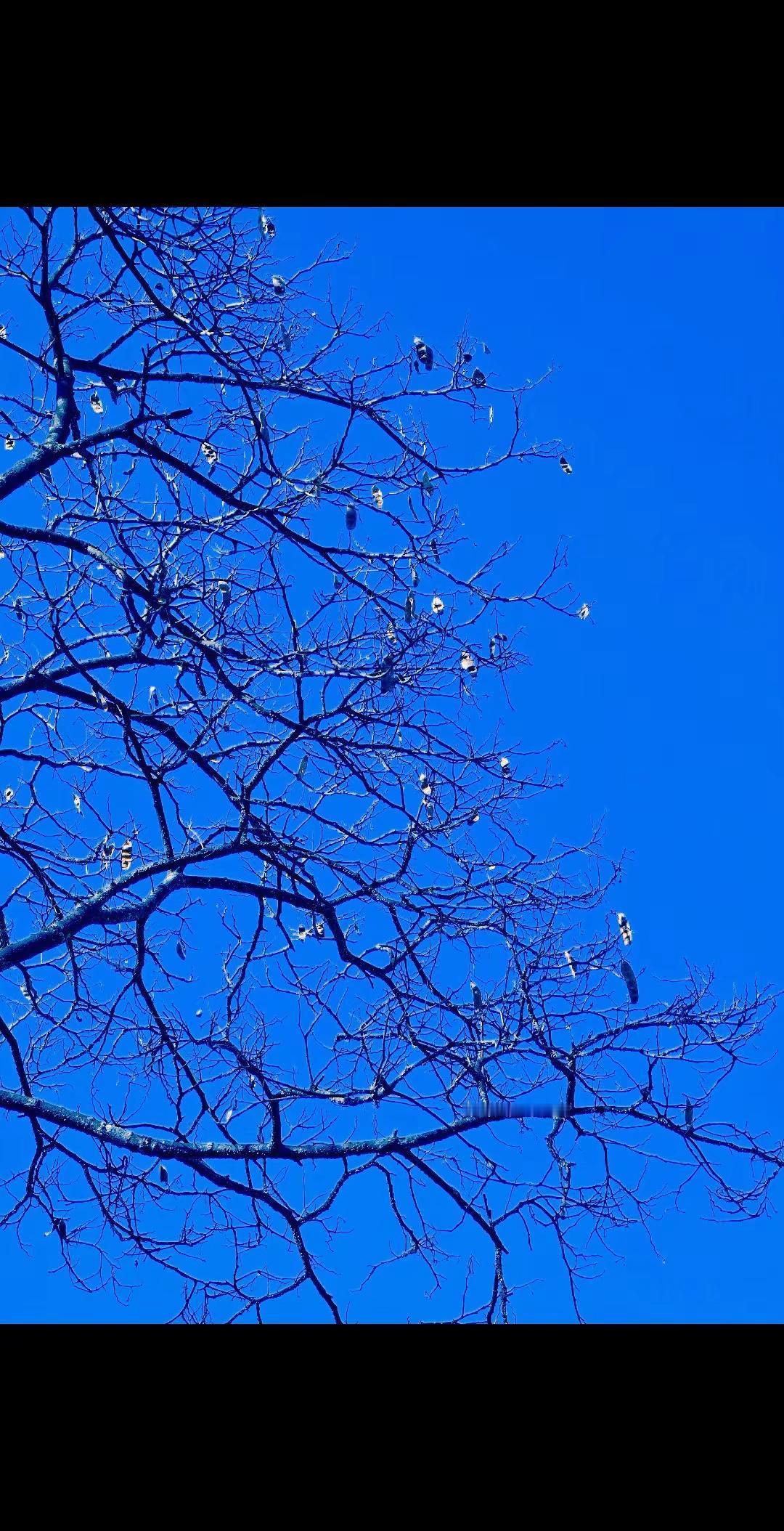 作品暂停更新一个月，谢谢各位朋友的支持！