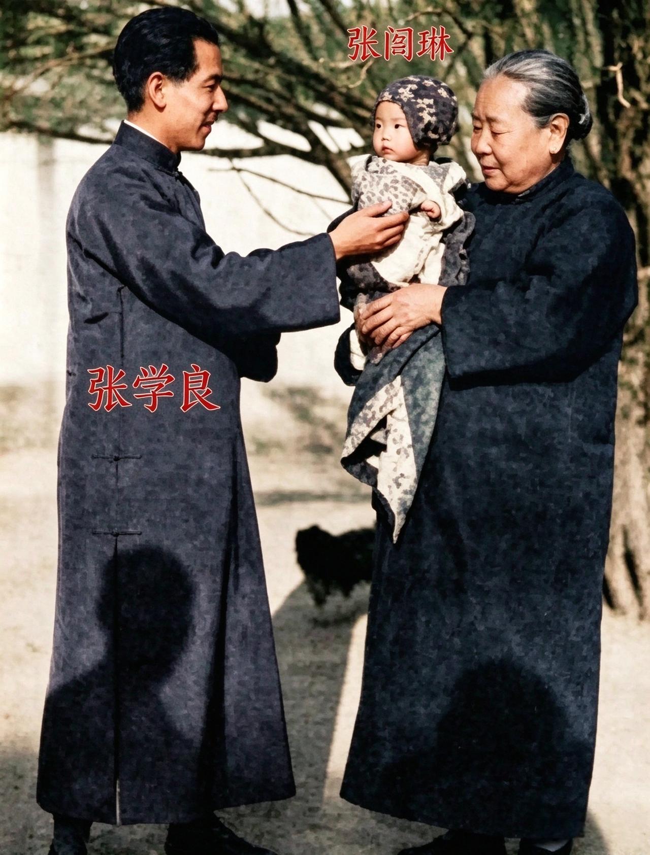 西安事变那年，张汉卿把小儿子张闾琳抱在膝头，讲天上的飞机大炮。孩子才六岁，听不大