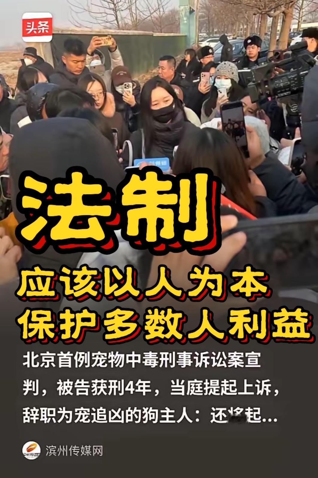 北京法院开了个不好的先例，狗扰人、咬人、伤人、致死你们不管不问。狗被除了判人