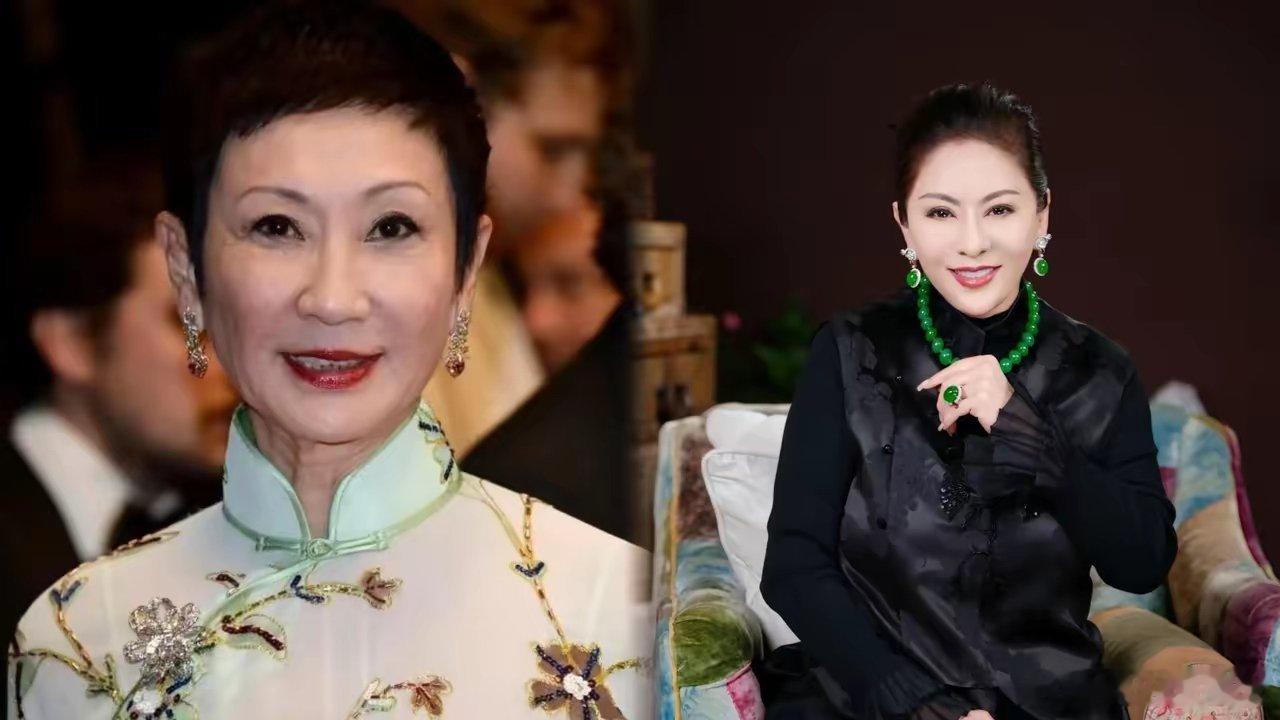 终于有人说了大实话，向太在社交平台直言不讳的说，施南生就是典型的“恋爱脑”，就像