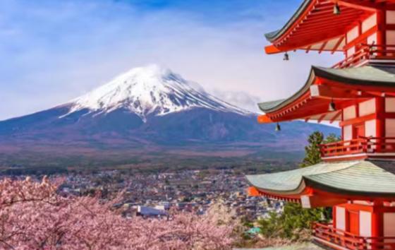 前不久，和一位在日本做酒店网友聊天，他透露了一个令人诧异的消息。 在他看来，