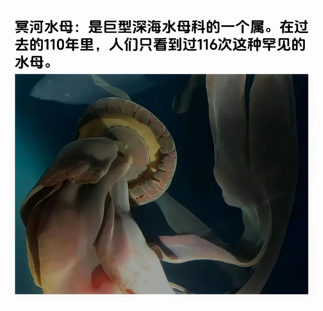 人类探索的已知海底只有5%