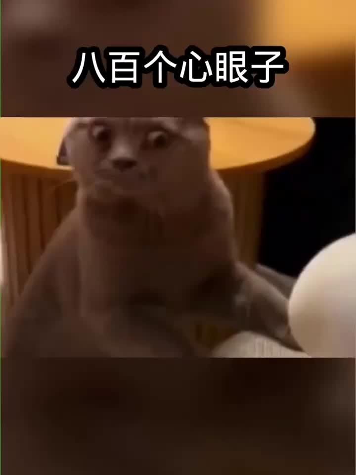 识人先识心！“心眼坏”的女人，多半有这3个表现，中老年人一定要警惕！“心眼