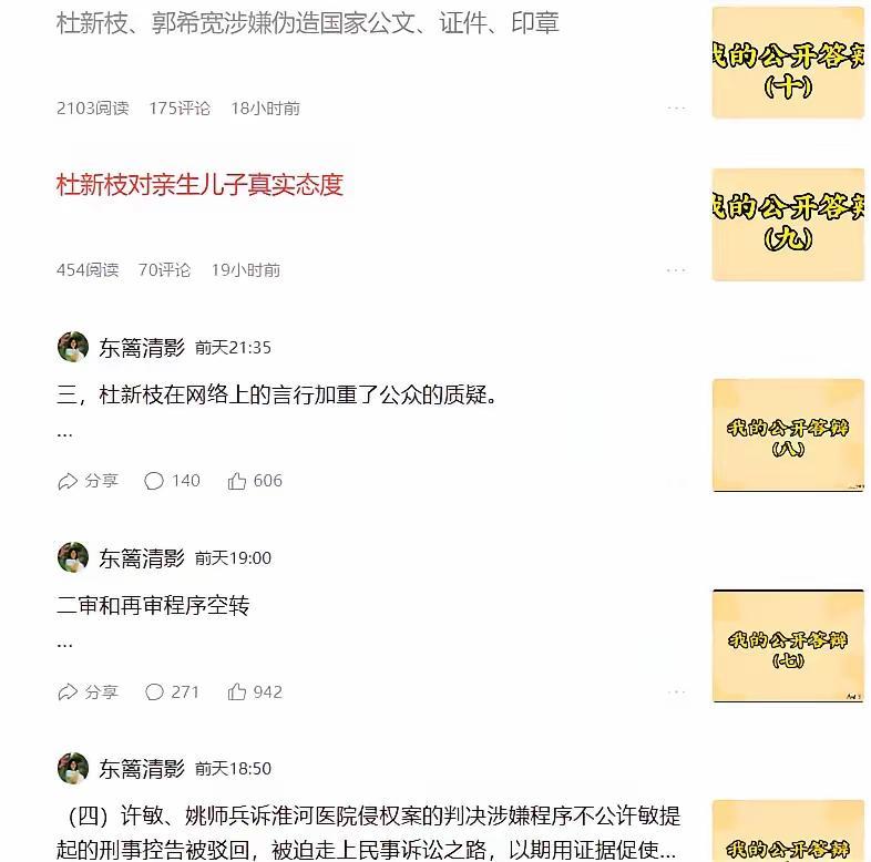 不是二八换子事件的主要庭审，却是二八换子事件庭审最重要的一次梳理。​错换人生2