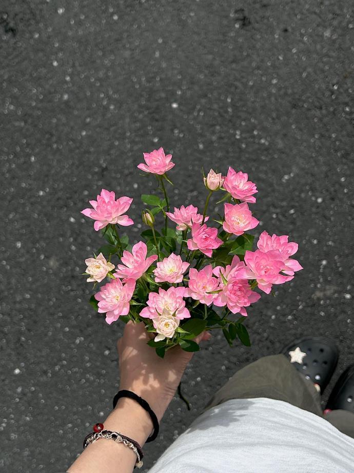 我的生命是一万次的春和景明​​​​