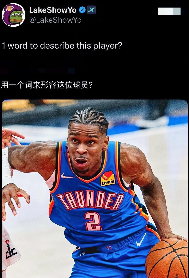 篮球博主LakerShowYo发文：请用一个词来形容这位球员，并配上了一张亚历山