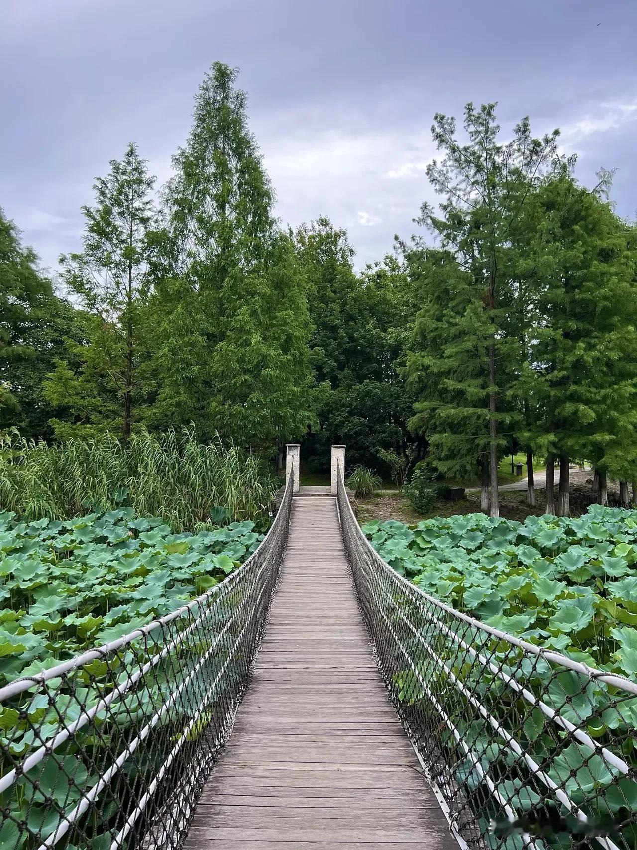 很多人都向往拥有平和的心态，但大多数人都理解错了。平和，不是压抑情绪，不是忍气吞
