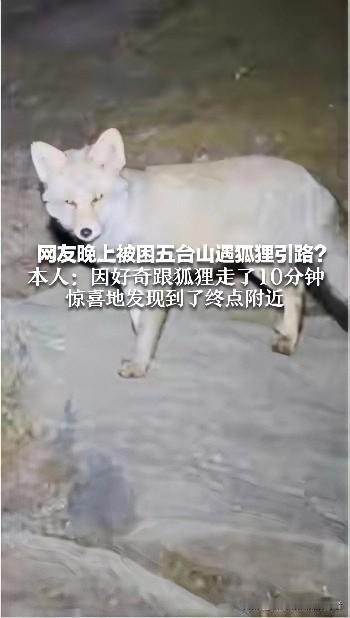 《聊斋志异》现实版？狐仙指路？这事儿到底玄不玄？10月6日，五台山那事儿太