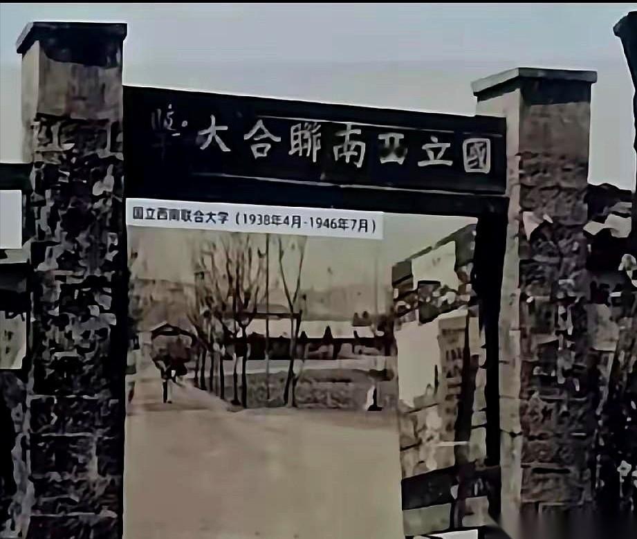 杨振宁先生走了，我才知道一个事儿，有点颠覆我的三观。中国最牛的大学，根本不是