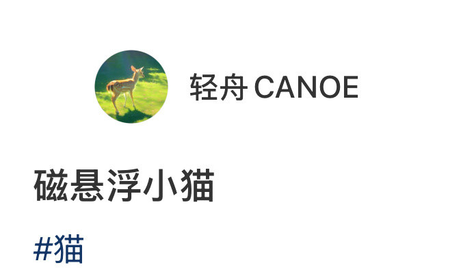 狸花猫稳稳悬在椅边，超强平衡力太惊艳。动物奇遇记