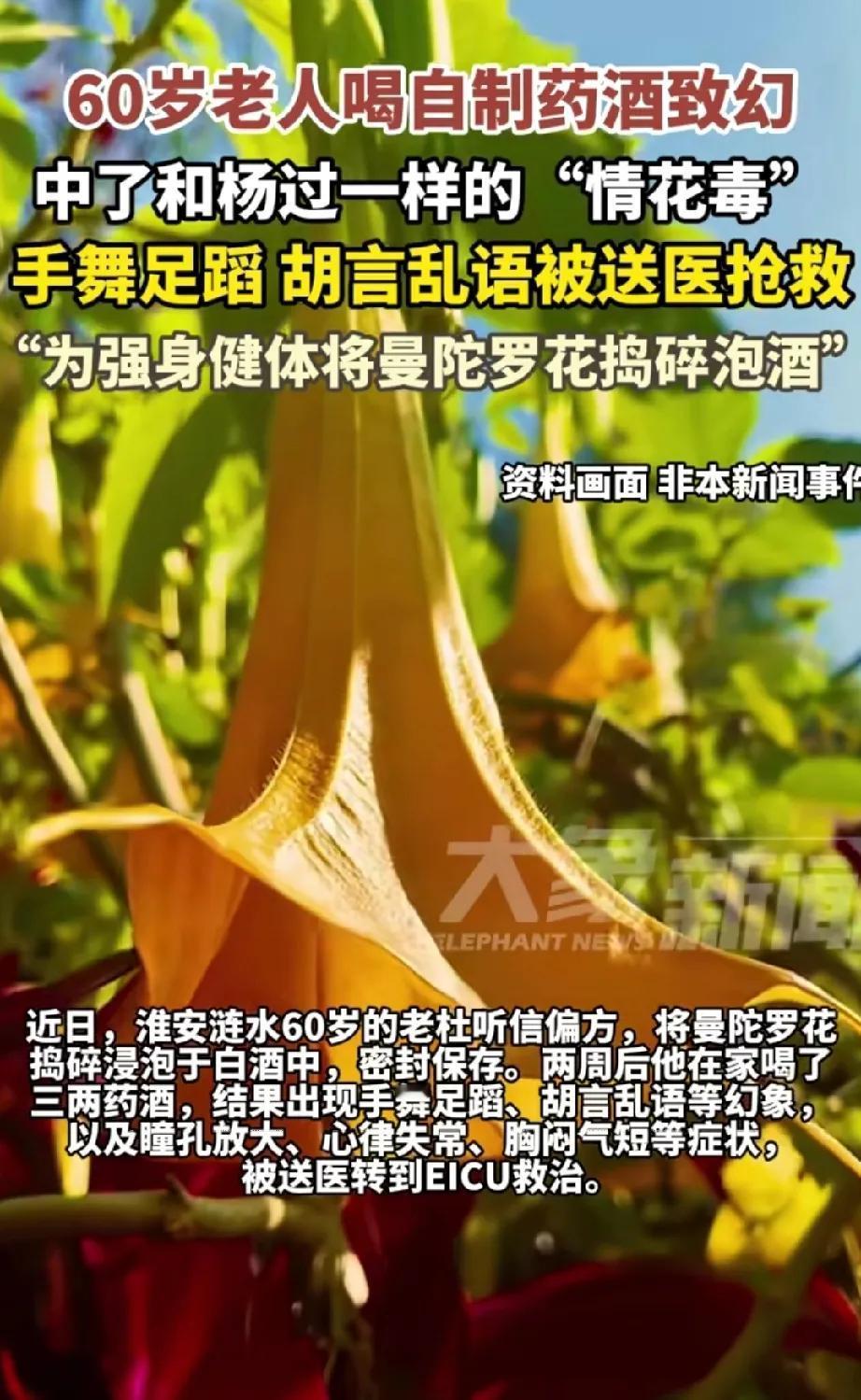 金庸诚不欺我曼陀罗花大家是不是很熟悉换个名字：情花大家一下子就知道了杨过