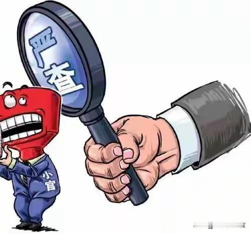 近日，中央纪委国家监委通报2025年全国纪检监察机关监督检查、审查调查情况。其中