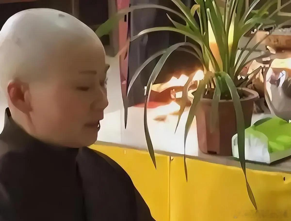 “花尼姑”释智定，住千万豪宅，与两个和尚结婚，把寺庙当摇钱树！​​​