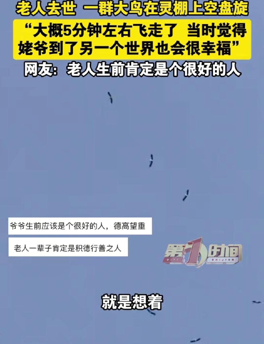解释不清了！山东东营，91岁的乡村老教师去世，葬礼上一群形似鹤或鹰的大鸟在灵棚上
