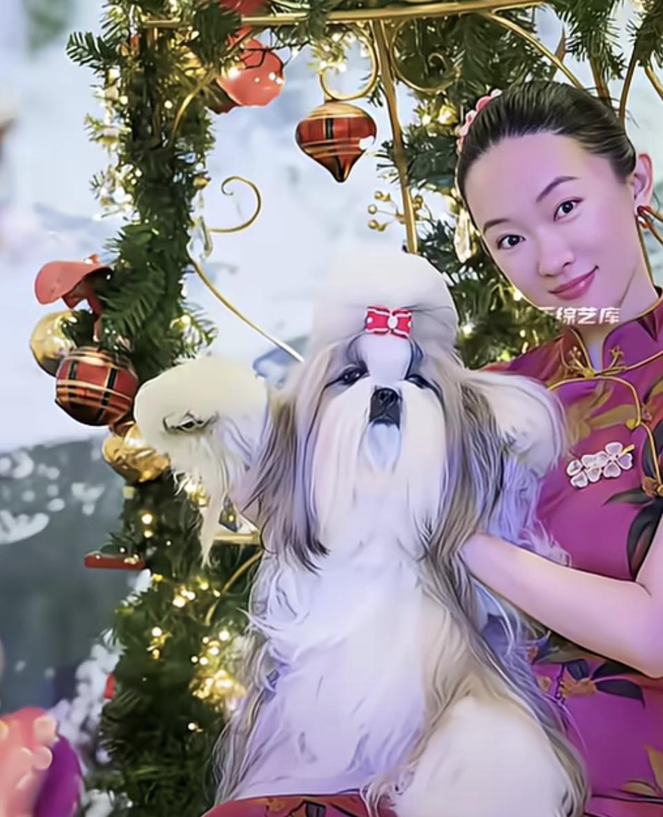 霍思燕家的狗狗赢得比赛真高兴