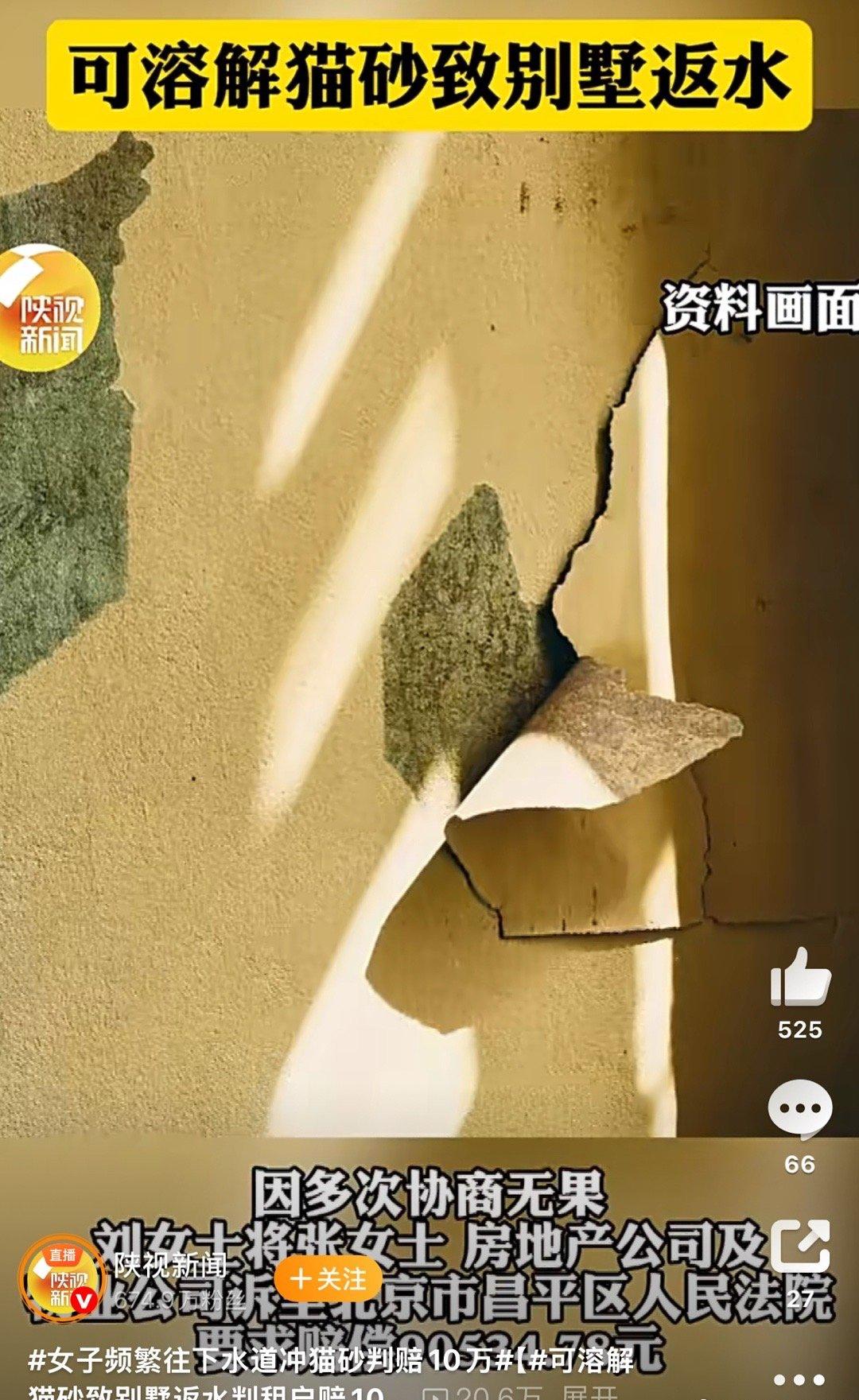 “我就倒点猫砂，咋就赔掉一辆车？”杭州姑娘小周拿到判决书那一刻，脸比猫脸还绿：十