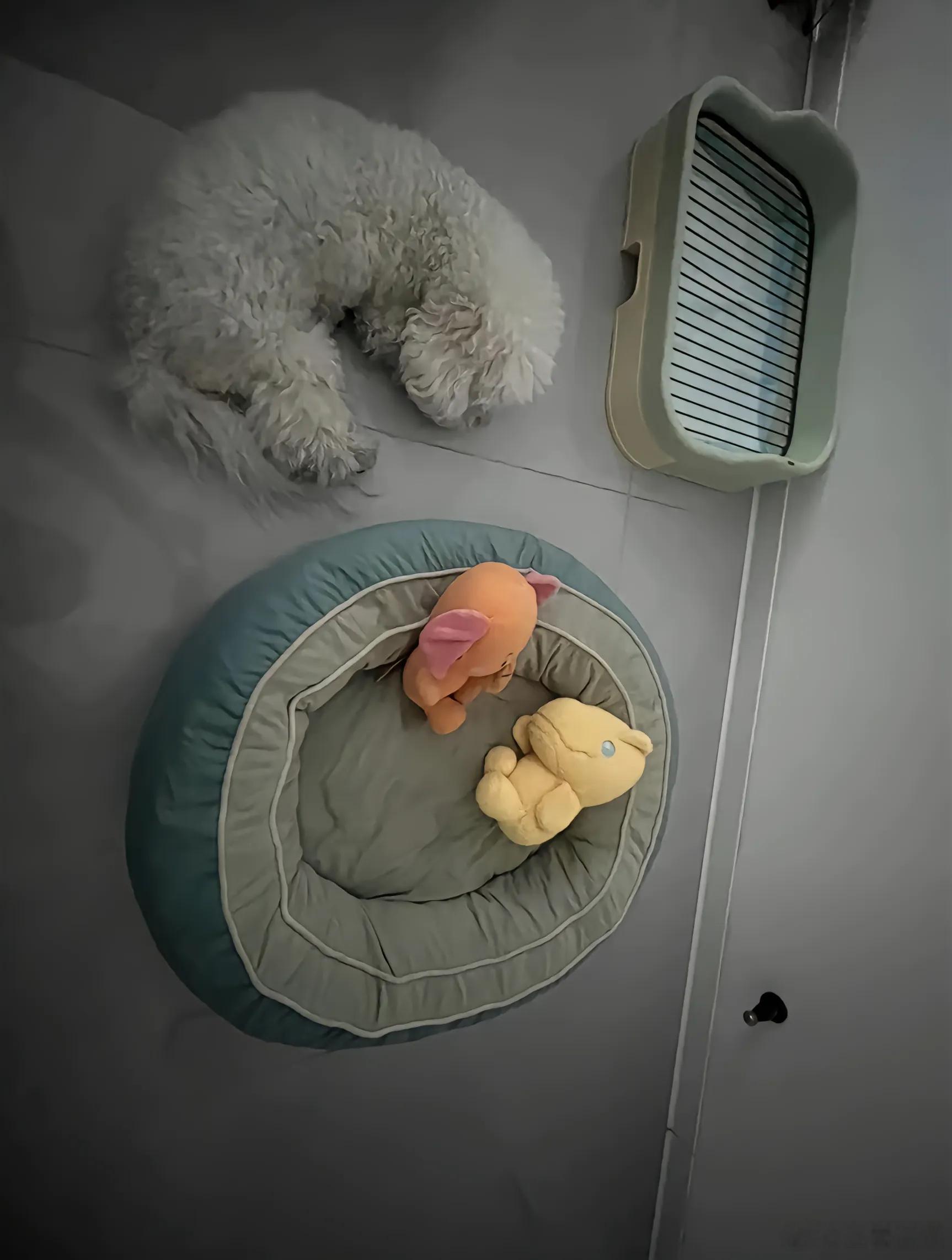 算了，和你们没狗的说不清