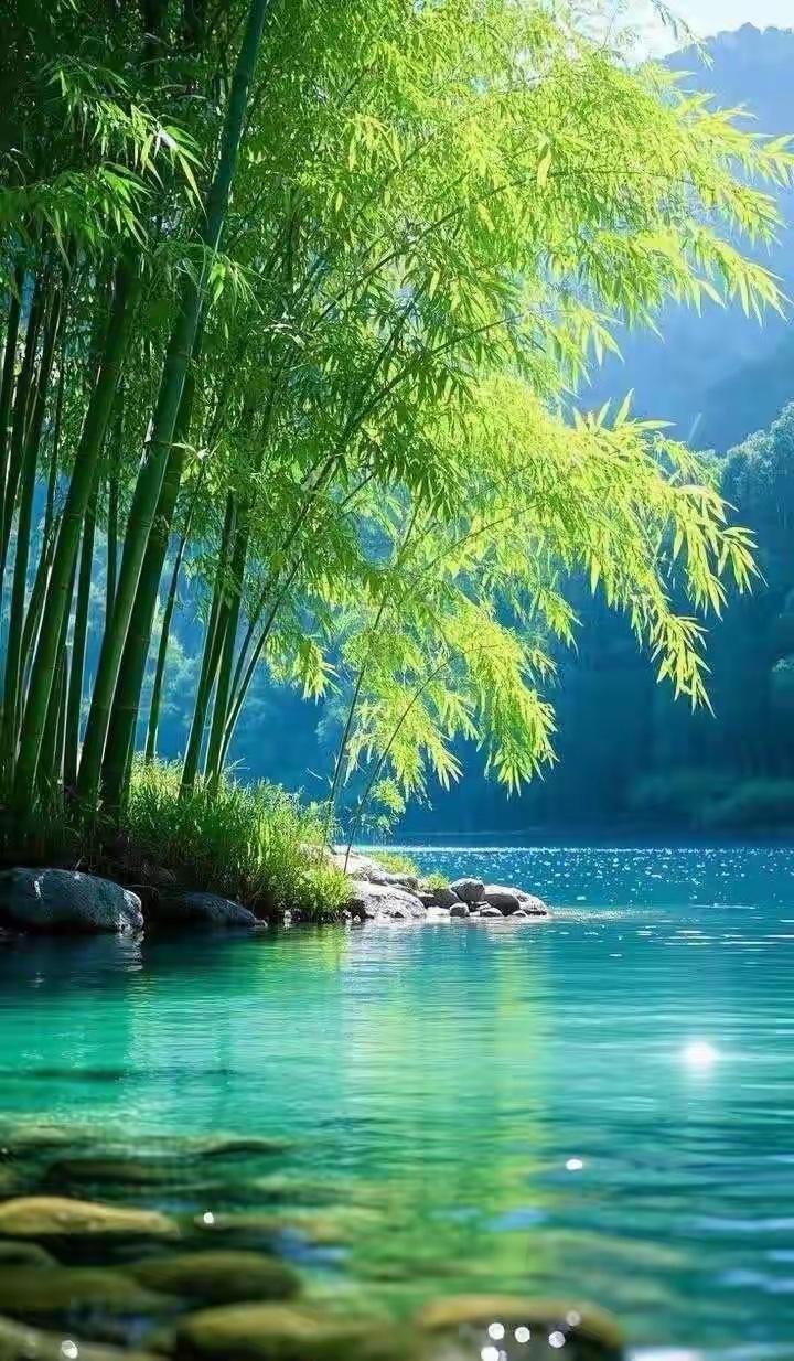 在江南水乡那如诗如画的景致中，有一座悠然宁静的小镇——枫桥镇，镇旁的溪流潺潺流淌